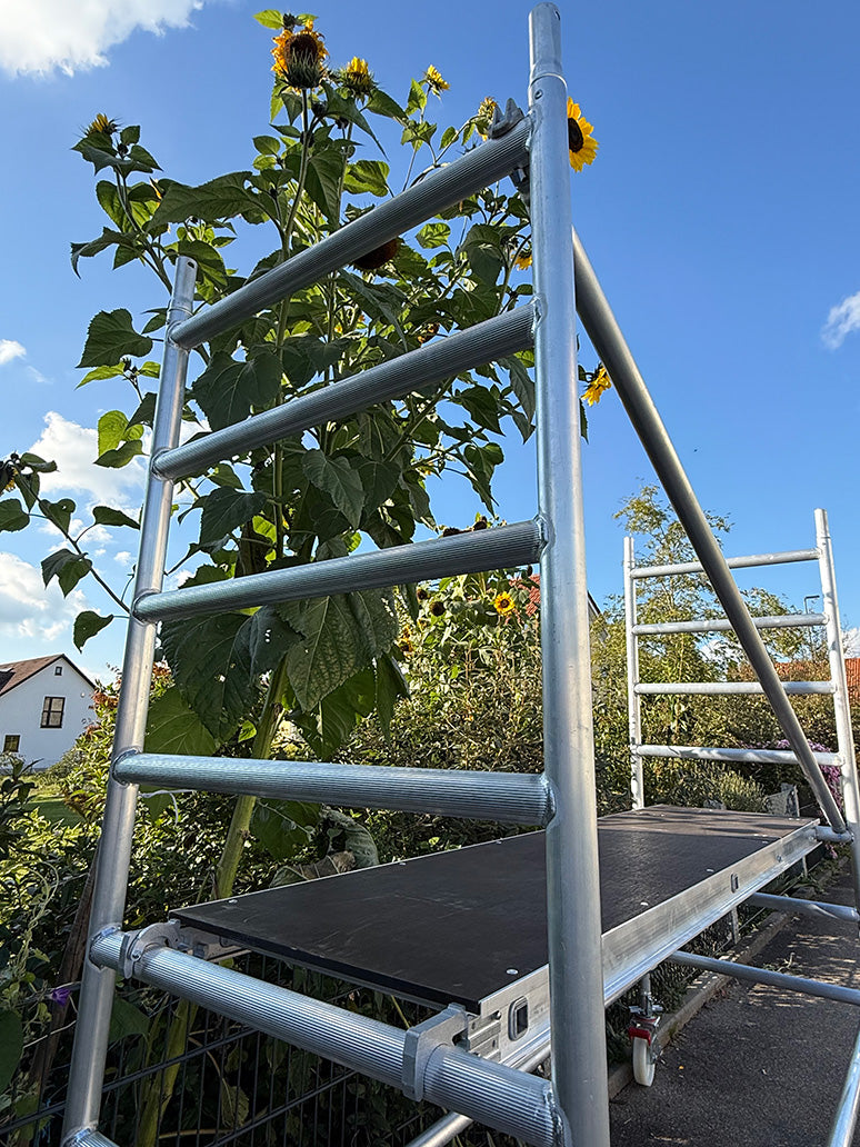 Panther XV® Power – Rollgerüst AH 2,80 m